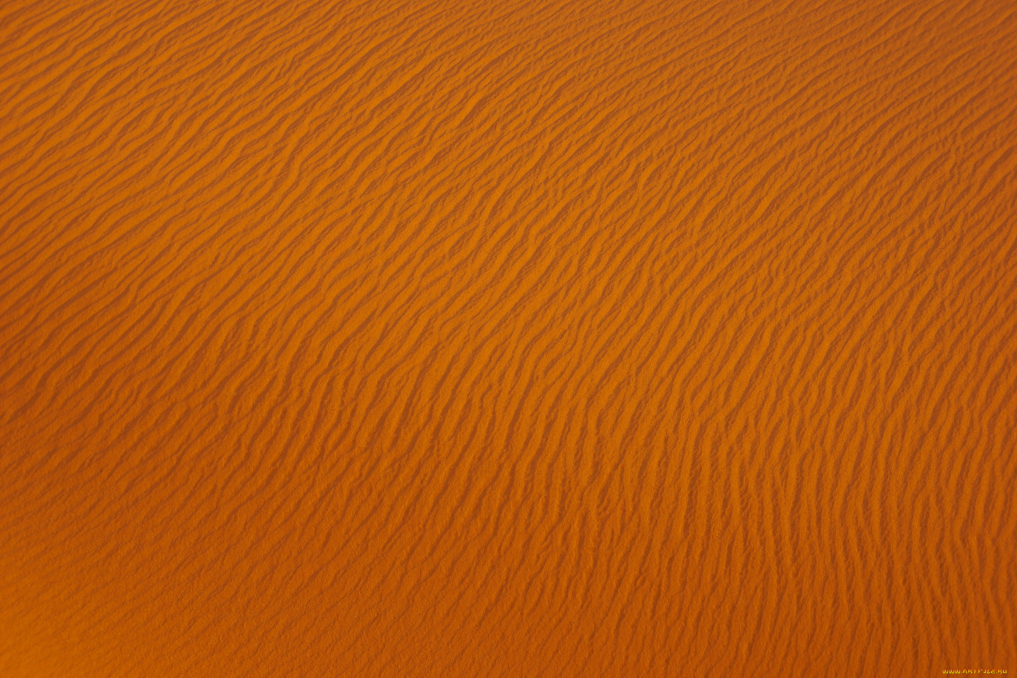, , , , 
